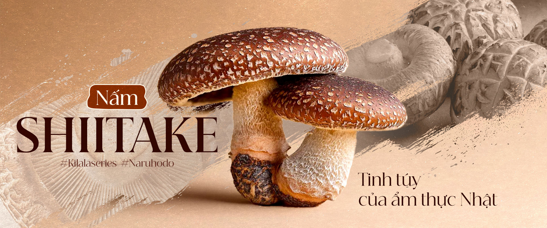 Nấm Shiitake - Tinh túy của ẩm thực Nhật.