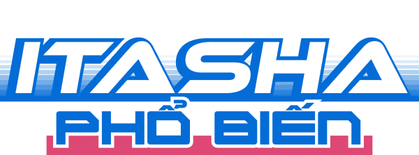 Các phong cách Itasha phổ biến.