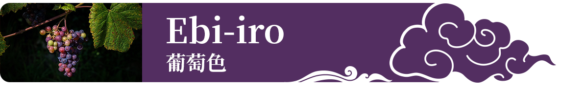 Ebi-iro