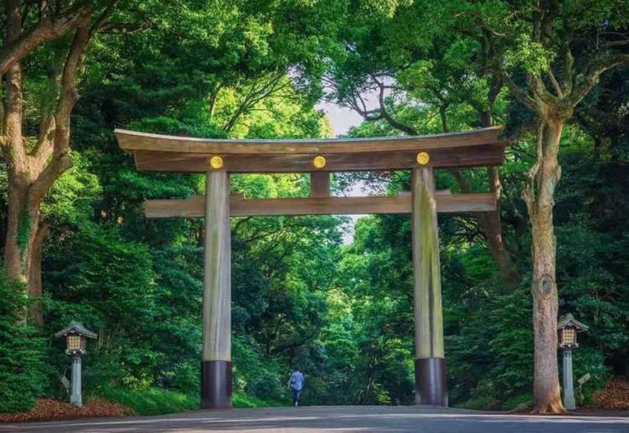 Ngôi đền Meiji Jingu được bao bọc trong khu rừng với những hàng cây xanh mướt.