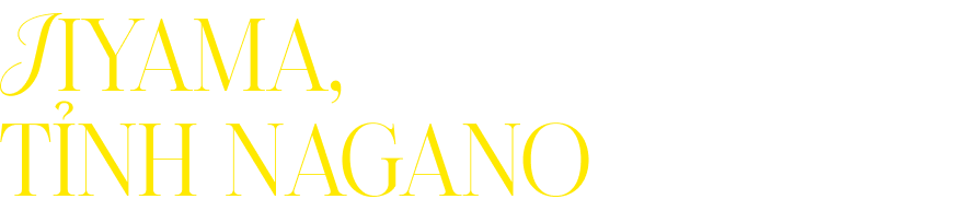 Iiyama, tỉnh Nagano