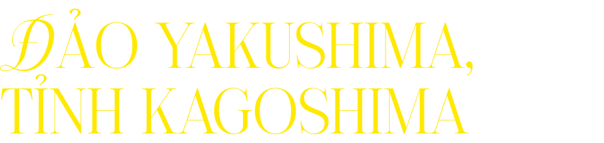Đảo Yakushima, tỉnh Kagoshima