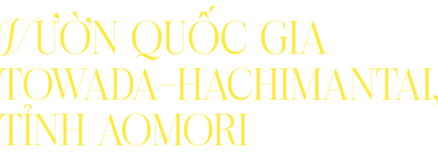 Vườn quốc gia Towada - Hachimantai, tỉnh Aomori