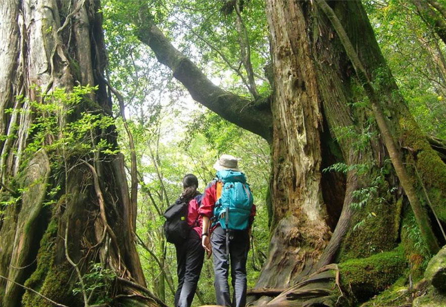 Yakushima